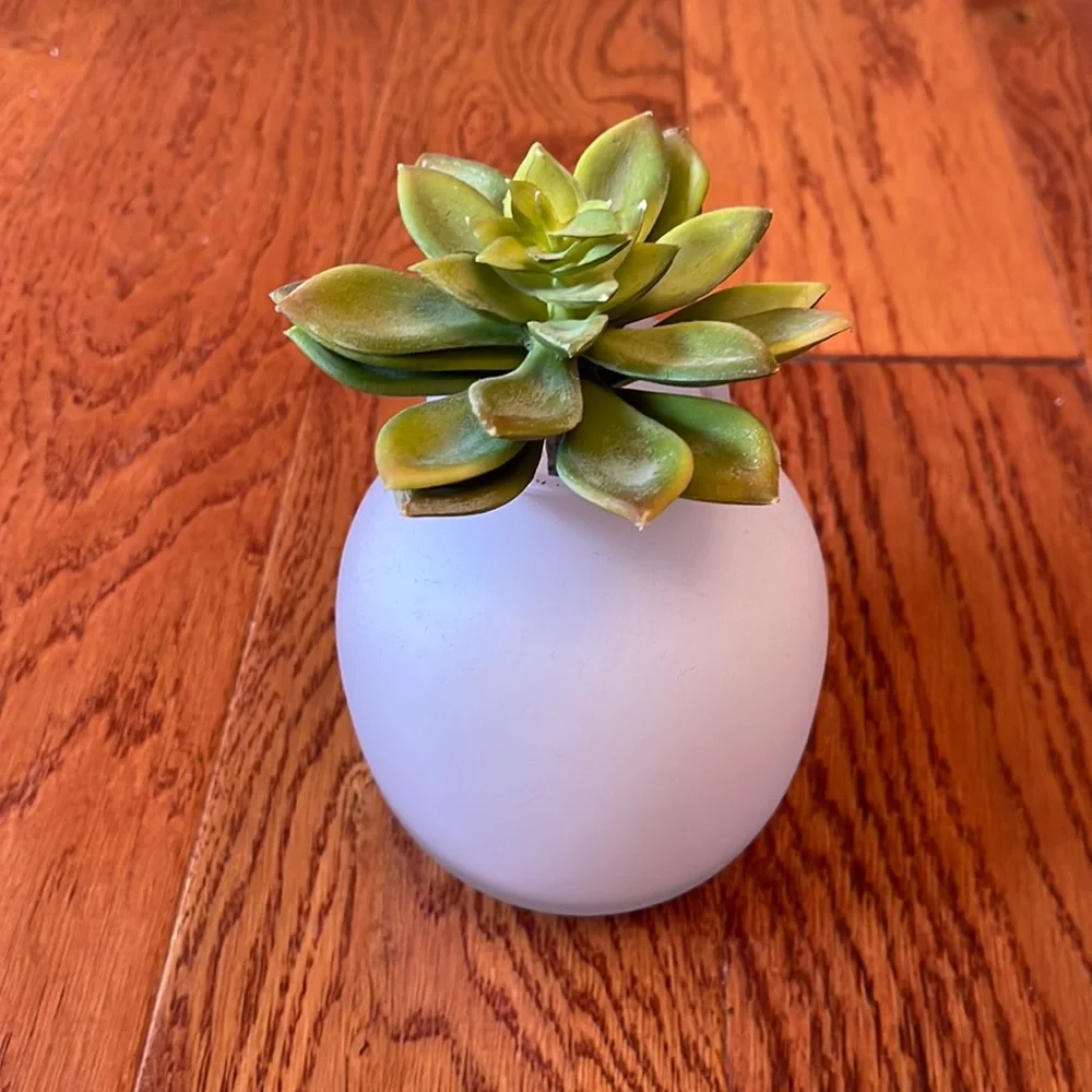 West Elm Vase